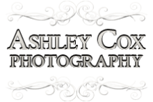 Megan's Senior Portraits in Katy - Ashley Cox Photography